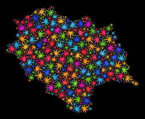 Bright vector marijuana Himachal Pradesh State map collage on a black background. Concept with bright weed leaves for marijuana legalize campaign.