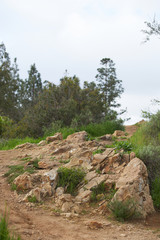 Fototapeta na wymiar Rocks on trail