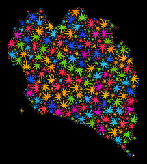 Bright vector cannabis Koh Phangan map mosaic on a black background. Concept with bright weed leaves for cannabis legalize campaign. Vector Koh Phangan map is created with herbal leaves.