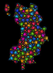 Bright vector marijuana Koh Tao map collage on a black background. Template with bright weed leaves for weed legalize campaign. Vector Koh Tao map is formed with herbal leaves.
