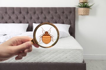 Woman with magnifying glass detecting bed bugs on mattress, closeup