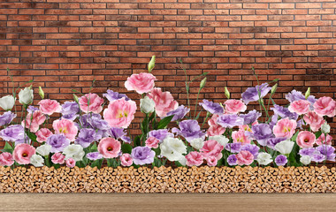 Shelves and tropical plant with green leaves near brick wall