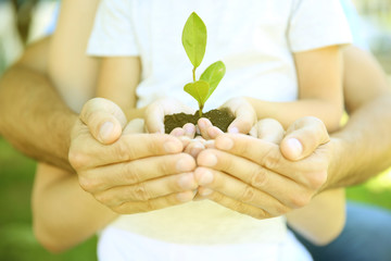 Family holding soil with green plant in hands, closeup. Volunteer community