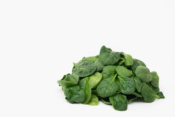 Spinach isolated on white, copy space