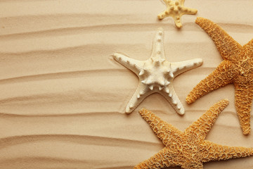 Fototapeta na wymiar Starfishes on beach sand, top view. Space for text