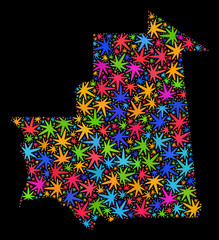 Bright vector marijuana Mauritania map collage on a black background. Template with bright weed leaves for weed legalize campaign. Vector Mauritania map is formed with weed leaves.