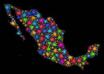 Bright vector marijuana Mexico map collage on a black background. Concept with bright weed leaves for marijuana legalize campaign. Vector Mexico map is designed from weed leaves.