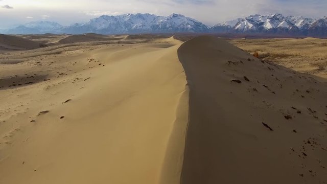 Chara Sands Desert Russia Siberia tundra Yellow gold vertex sand barkhan Natural monument Udokan snow covered mountains ranges Unique unusual place. Winter blue sky clouds. Aerial Drone low span over