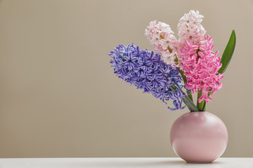 Beautiful hyacinths in vase on table against color background, space for text. Spring flowers