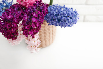 beautiful hyacinths in wicker pot on table, space for text. Spring flowers