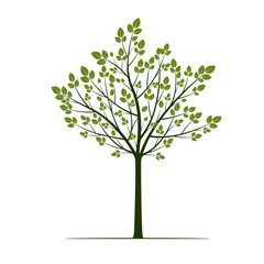 Green Tree with leaves on white background. Vector Illustration.