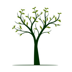 Green Tree with leaves on white background. Vector Illustration.