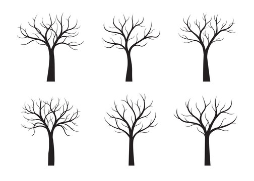 Set of Black Trees without leaves. Vector Illustration.