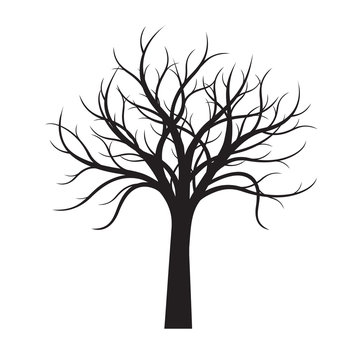 Black naked Tree white background. Vector Illustration.