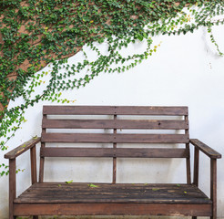 Naklejka premium Wooden Bench on white wall covered with Climbing fig (creeping fig, Ficus pumila) leaves. Ornamental Garden, Landscaping Architecture. Foliage, Gardening, Home Decoration, Exterior and Living concept