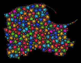 Bright vector cannabis Pomeranian Voivodeship map mosaic on a black background. Template with bright herbal leaves for cannabis legalize campaign.