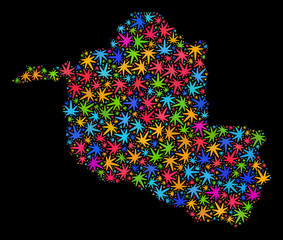 Bright vector cannabis Rondonia State map collage on a black background. Concept with multi-colored herbal leaves for cannabis legalize campaign.