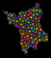 Bright vector cannabis Roraima State map mosaic on a black background. Concept with colorful herbal leaves for cannabis legalize campaign. Vector Roraima State map is created with cannabis leaves.