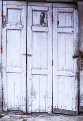 Vintage retro Home interior architectural design, plain old aged faded white colored painted weathered textured wood panel board door of traditional Asian concrete house. Background, backdrop concept