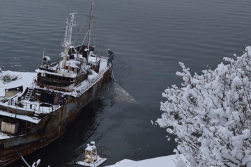 Природа  Авачинская бухта  Камчатка Россия Дальний восток