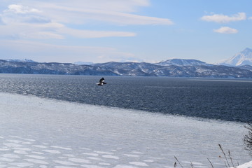 Природа  Авачинская бухта  Камчатка Россия Дальний восток
