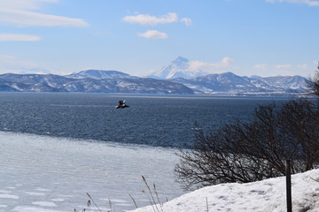 Природа  Авачинская бухта  Камчатка Россия Дальний восток