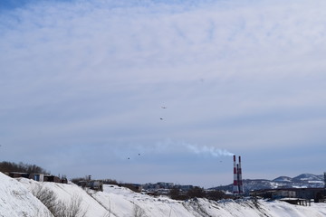 Природа  Авачинская бухта  Камчатка Россия Дальний восток