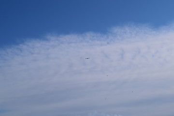 Природа  Авачинская бухта  Камчатка Россия Дальний восток