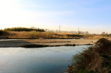 風景　思川　河川敷　杤木　春