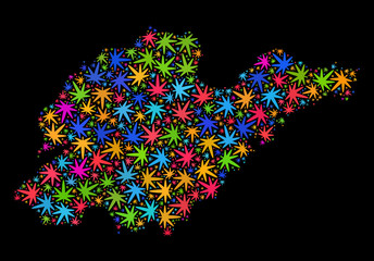 Bright vector cannabis Shandong Province map mosaic on a black background. Template with multi-colored herbal leaves for cannabis legalize campaign.