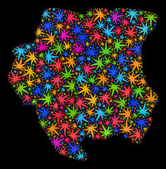 Bright vector marijuana Suriname map collage on a black background. Template with bright weed leaves for marijuana legalize campaign. Vector Suriname map is formed with cannabis leaves.