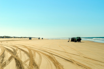 Fototapeta na wymiar Orilla de playa con marcas de ruedas de coche 03