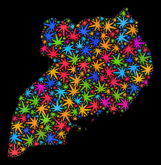 Bright vector cannabis Uganda map mosaic on a black background. Template with bright weed leaves for cannabis legalize campaign. Vector Uganda map is created with ganja leaves.