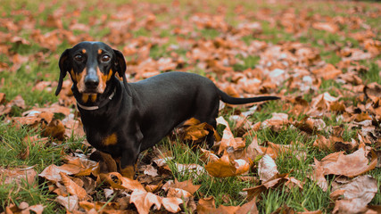 Look at me with tenderness 2