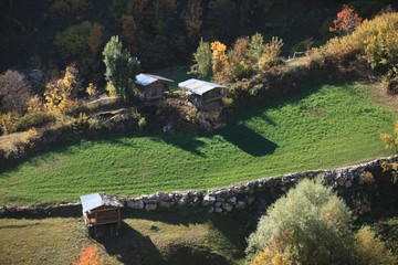 Autumn forest nature. Vivid morning in colorful forest with sun rays through branches of trees.savsat/artvin/turkey