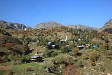 Autumn forest nature. Vivid morning in colorful forest with sun rays through branches of trees.savsat/artvin/turkey