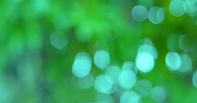 Defocused abstract nature background with green leaves and bokeh lights. Royalty high-quality free stock video footage of natural blurred bokeh background from leaf and tree effects bokeh bubble light