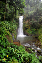 This incredible waterfall is in Costa Rica in the old world forest of Lapaz Waterfall Park. 