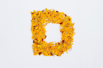 Spring Flower Letter concept of Marigold petal. Marigold petal alphabet isolated on white background. Letter D concept Logo.