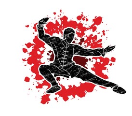 Man Kung Fu pose ready to fight graphic vector