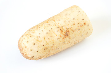 白バックで撮影した半分に切った長芋