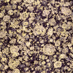 背景素材 大理石 御影石 模様 柄