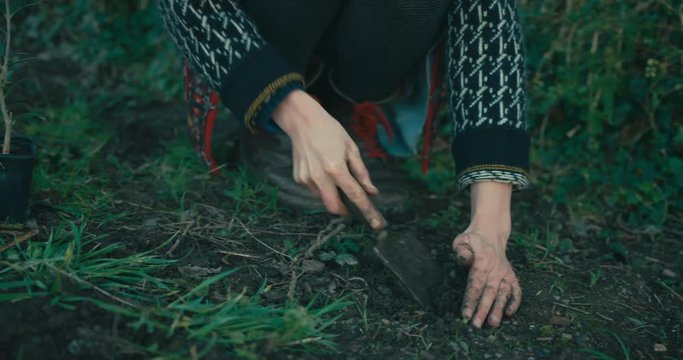 Young woman digging hole in her garden to plant a tree