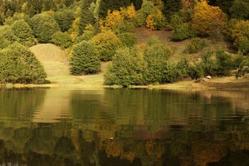 Autumn colorful foliage with lake reflection. savsat/artvin/turkey