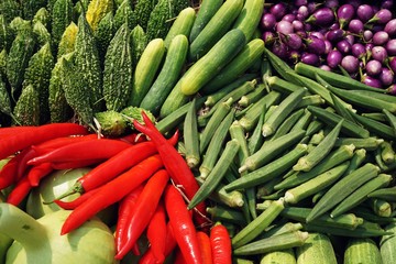 Tropical fruit and vegetable display, bitter gourd, pepper, eggplant, cucumber, okra