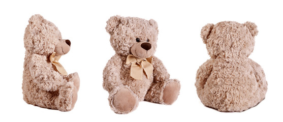 Teddy bear on white background.