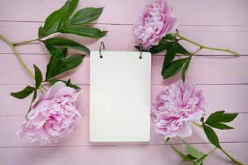 floral Mockup.floral layout.  notebook and three gently pink large peony flowers on light pink wooden background.Flat lay.Spring to-do list.top view, copy space.Spring mood