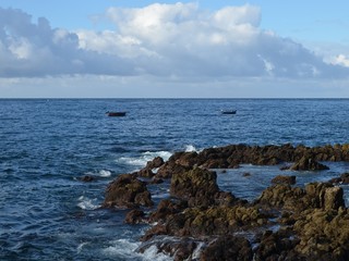 Fototapeta na wymiar The Atlantic Ocean, Madeira