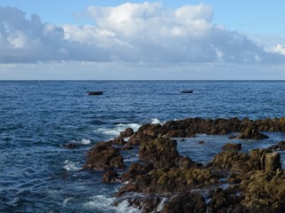 The Atlantic Ocean, Madeira