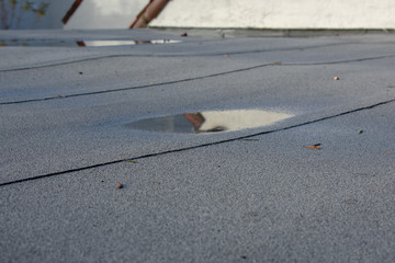 Ponding rainwater on flat roof after rain,  roof drainage and leak problem. Roof settling or sagging is result of framing issues, rotten or saturated sheathing - obrazy, fototapety, plakaty